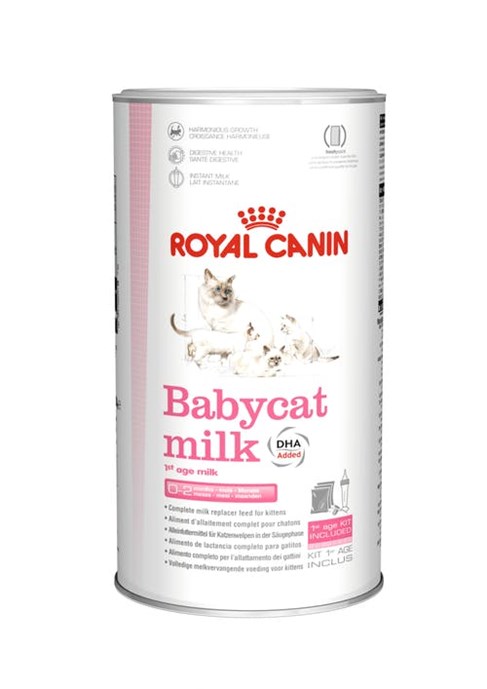 תחליף חלב רויאל קנין לגורי חתולים